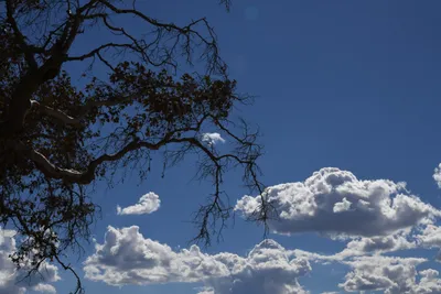 DSC_2304 (Large).JPG